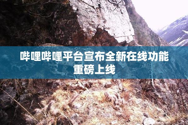 哔哩哔哩平台宣布全新在线功能重磅上线