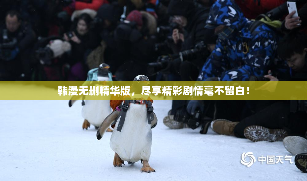 韩漫无删精华版，尽享精彩剧情毫不留白！