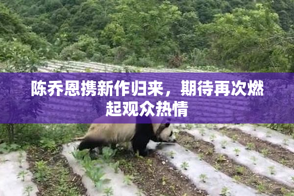 陈乔恩携新作归来，期待再次燃起观众热情