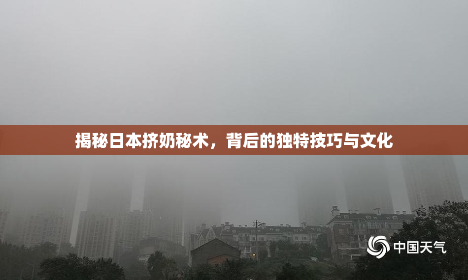 揭秘日本挤奶秘术，背后的独特技巧与文化