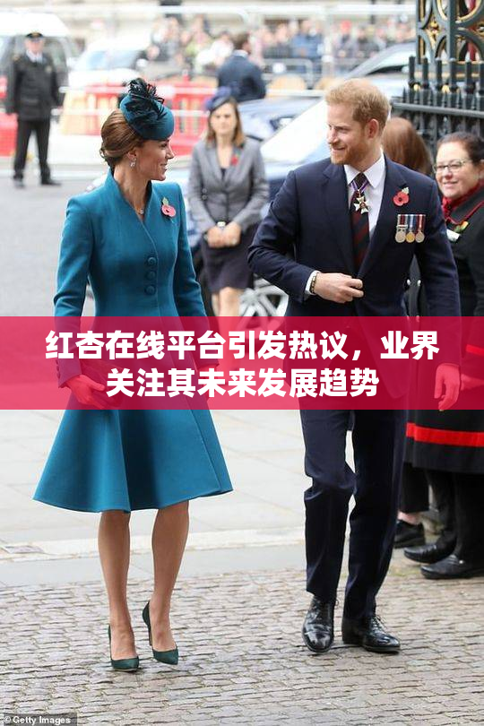 红杏在线平台引发热议，业界关注其未来发展趋势