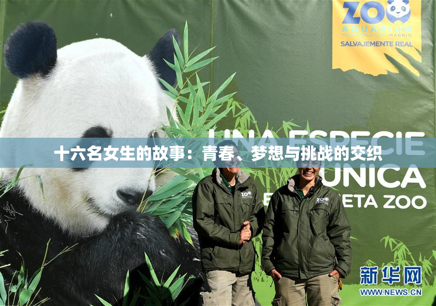 十六名女生的故事：青春、梦想与挑战的交织