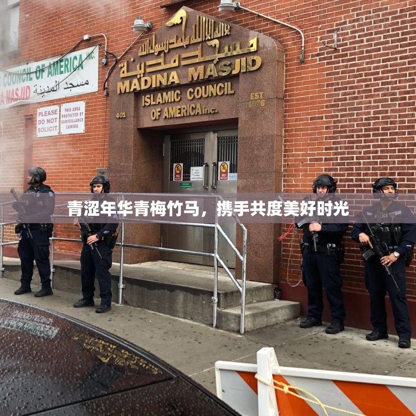 青涩年华青梅竹马，携手共度美好时光