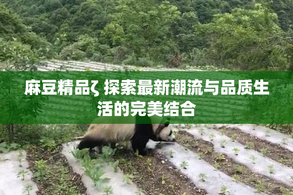 麻豆精品ζ 探索最新潮流与品质生活的完美结合