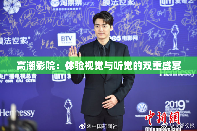 高潮影院：体验视觉与听觉的双重盛宴
