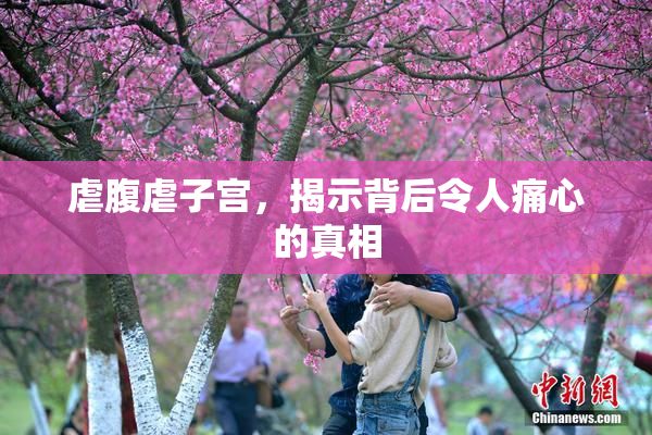 虐腹虐子宫，揭示背后令人痛心的真相