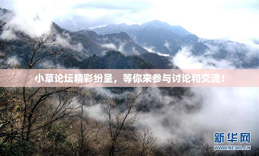 小草论坛精彩纷呈，等你来参与讨论和交流！