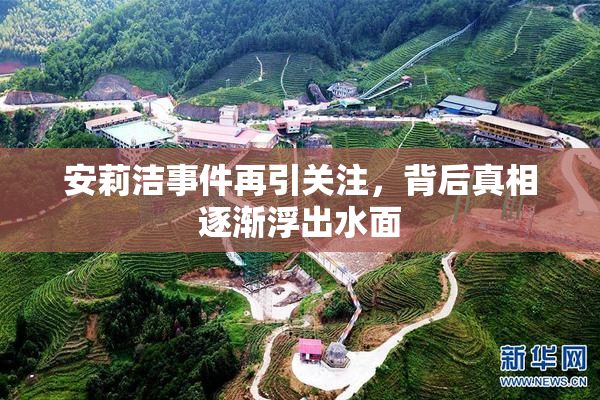 安莉洁事件再引关注，背后真相逐渐浮出水面