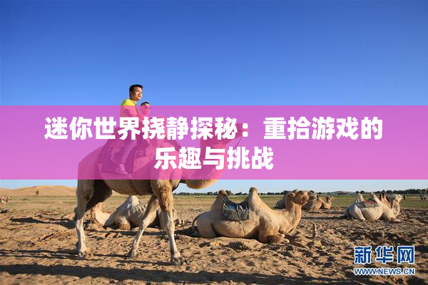 迷你世界挠静探秘：重拾游戏的乐趣与挑战
