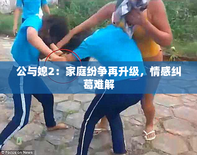 公与媳2：家庭纷争再升级，情感纠葛难解
