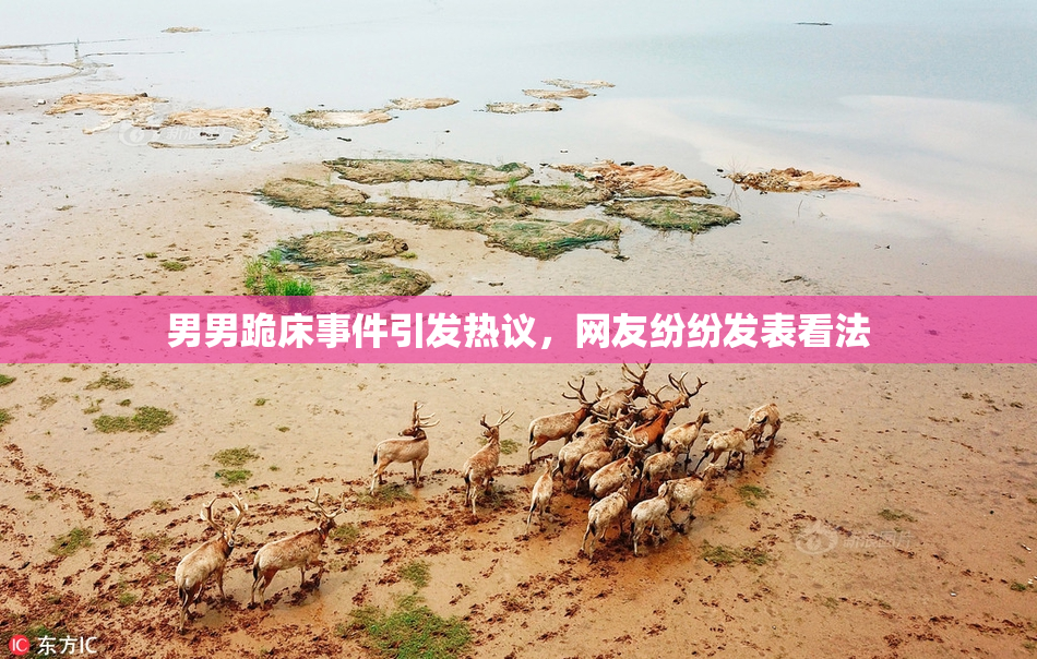 男男跪床事件引发热议，网友纷纷发表看法