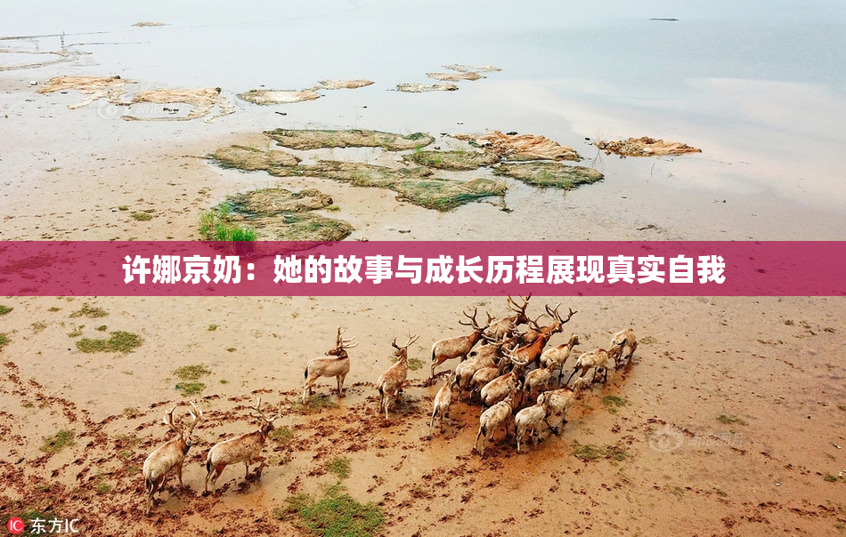 许娜京奶：她的故事与成长历程展现真实自我