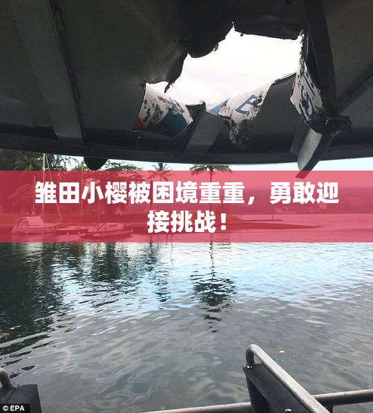 雏田小樱被困境重重，勇敢迎接挑战！