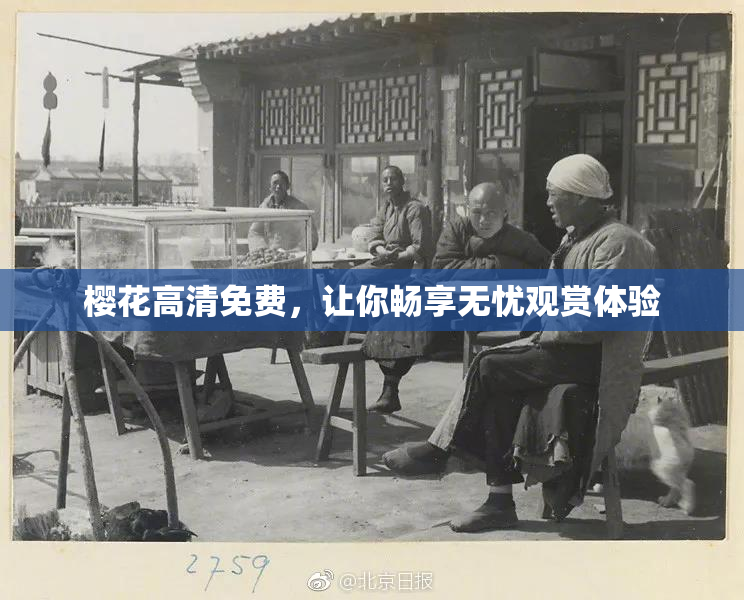 樱花高清免费，让你畅享无忧观赏体验