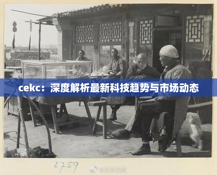 cekc：深度解析最新科技趋势与市场动态