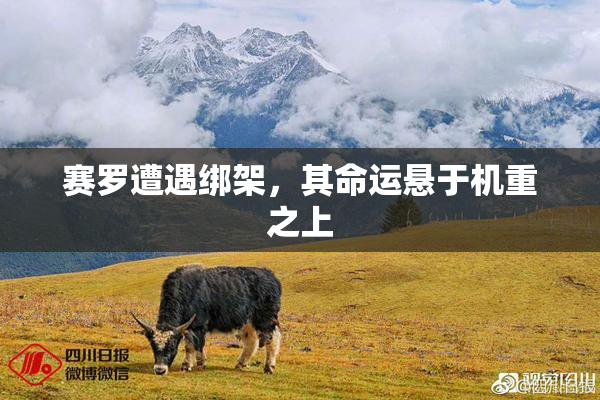 赛罗遭遇绑架，其命运悬于机重之上