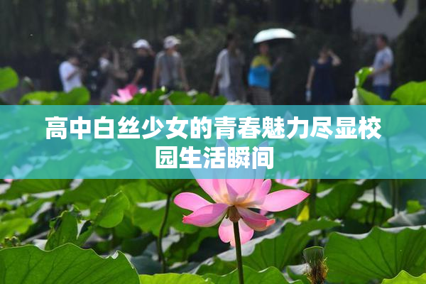 高中白丝少女的青春魅力尽显校园生活瞬间