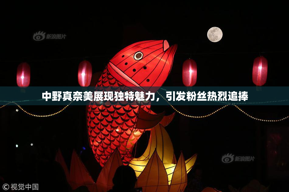 中野真奈美展现独特魅力，引发粉丝热烈追捧