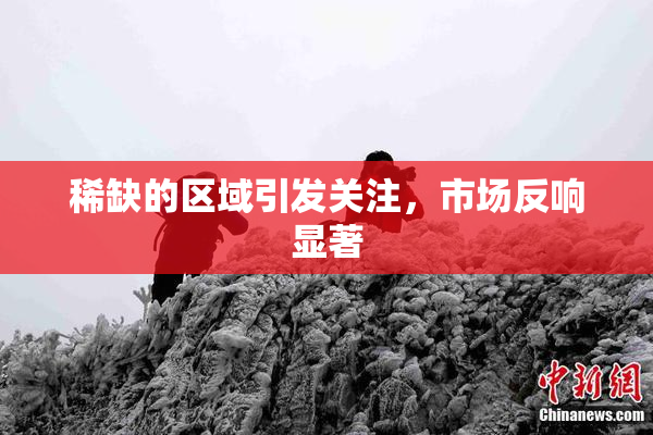 稀缺的区域引发关注，市场反响显著