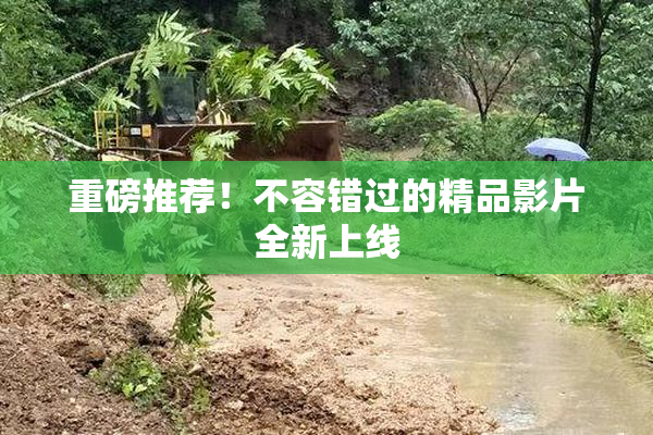 重磅推荐！不容错过的精品影片全新上线