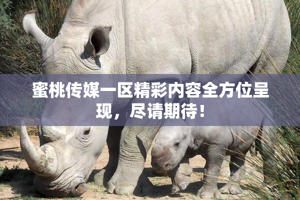 蜜桃传媒一区精彩内容全方位呈现，尽请期待！