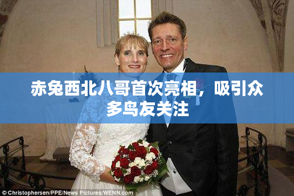 赤兔西北八哥首次亮相，吸引众多鸟友关注