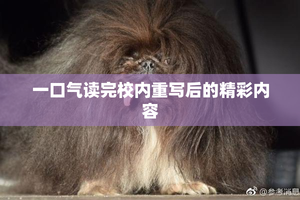 一口气读完校内重写后的精彩内容