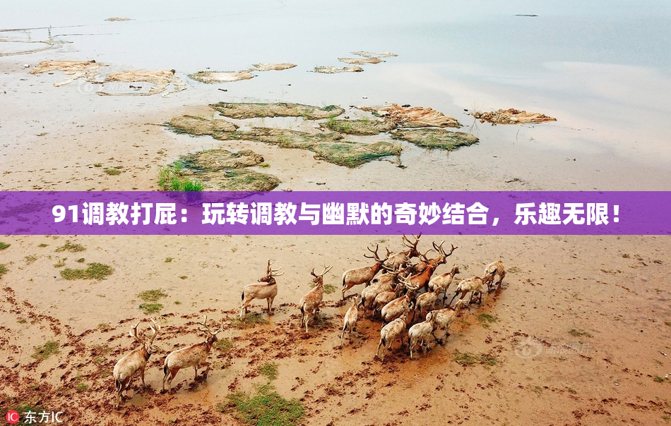 91调教打屁：玩转调教与幽默的奇妙结合，乐趣无限！