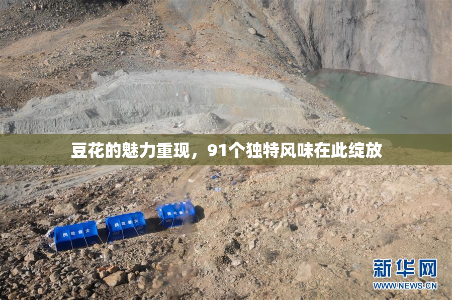 豆花的魅力重现，91个独特风味在此绽放