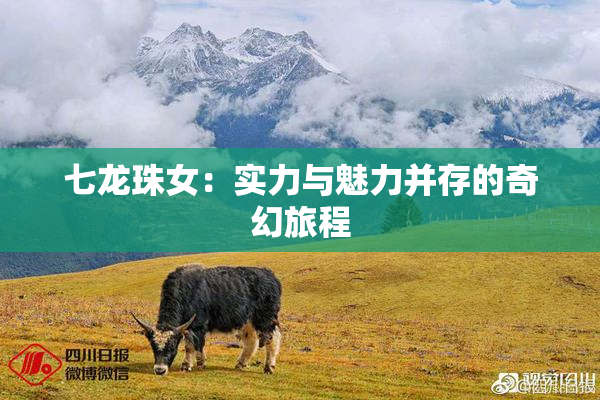 七龙珠女：实力与魅力并存的奇幻旅程