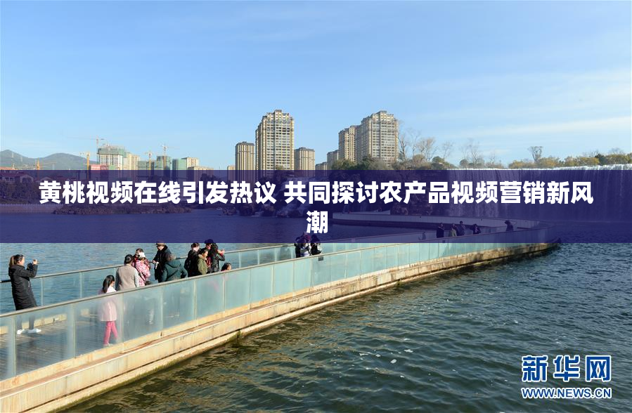 黄桃视频在线引发热议 共同探讨农产品视频营销新风潮