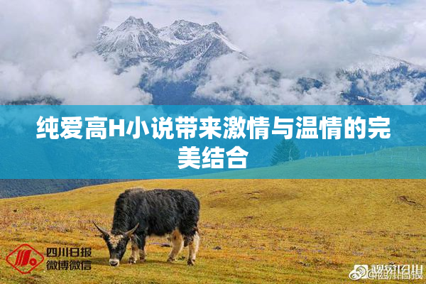 纯爱高H小说带来激情与温情的完美结合