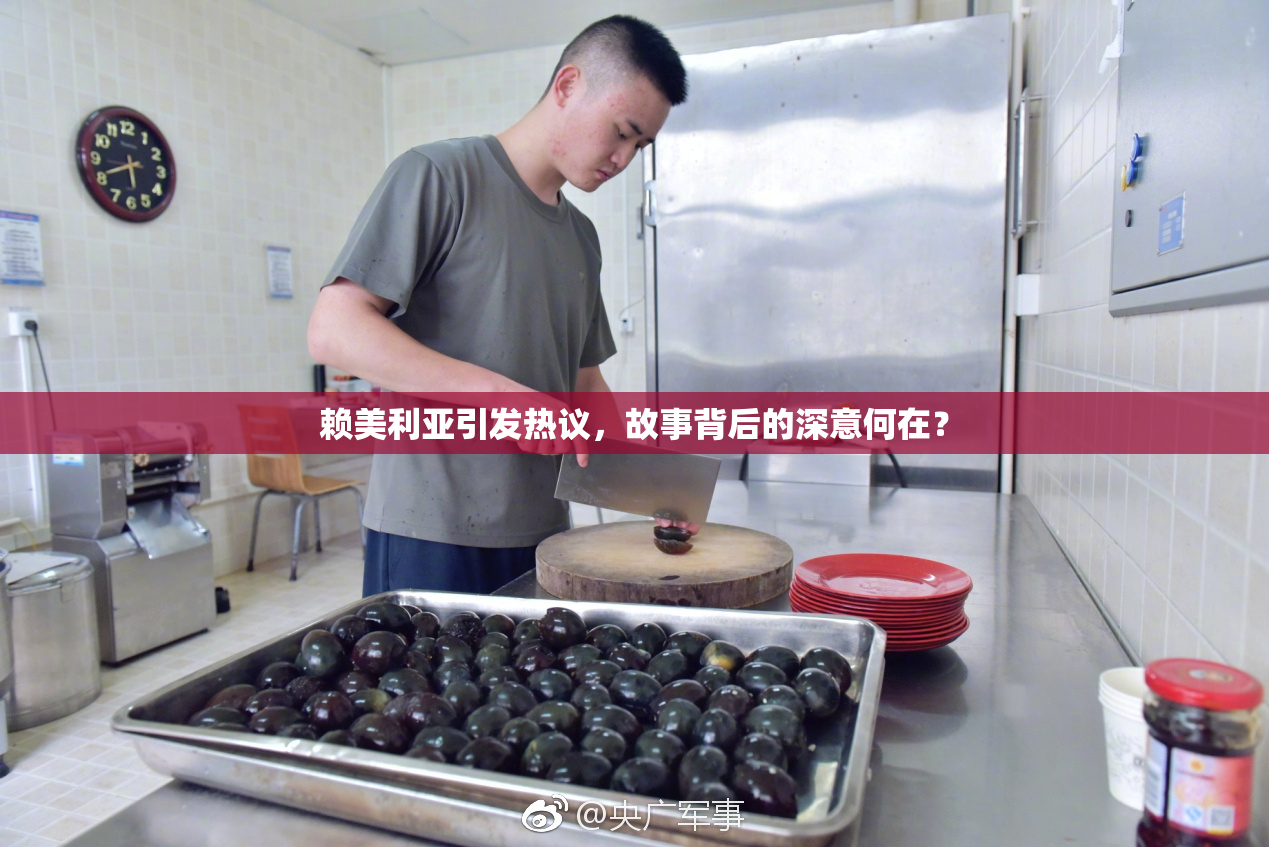 赖美利亚引发热议，故事背后的深意何在？