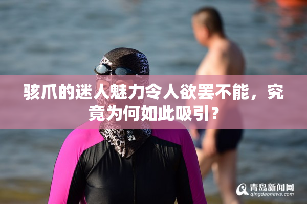 骇爪的迷人魅力令人欲罢不能，究竟为何如此吸引？