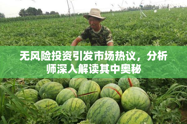 无风险投资引发市场热议，分析师深入解读其中奥秘