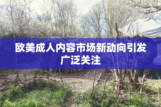 欧美成人内容市场新动向引发广泛关注