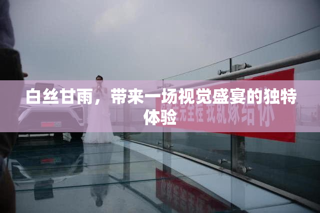 白丝甘雨，带来一场视觉盛宴的独特体验