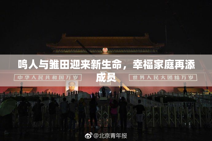 鸣人与雏田迎来新生命，幸福家庭再添成员