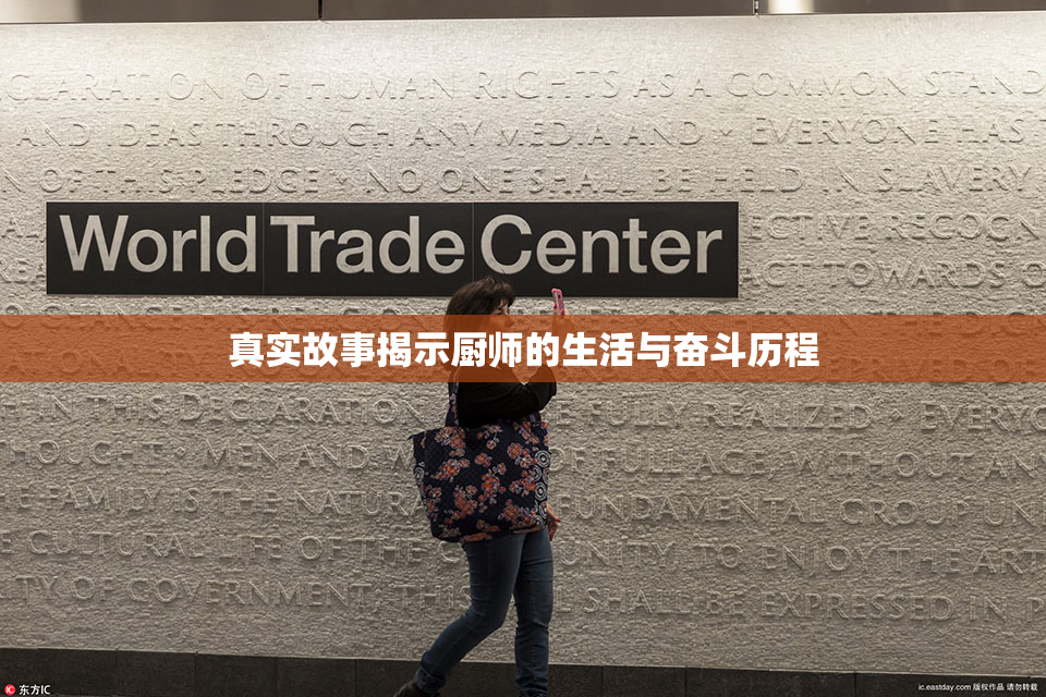 真实故事揭示厨师的生活与奋斗历程