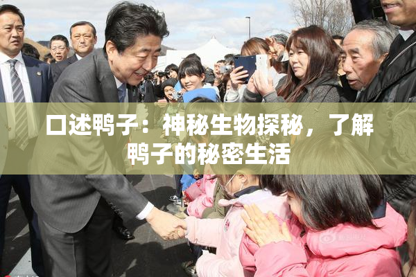 口述鸭子：神秘生物探秘，了解鸭子的秘密生活