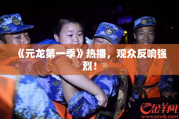 《元龙第一季》热播，观众反响强烈！
