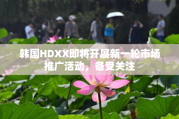 韩国HDXX即将开展新一轮市场推广活动，备受关注