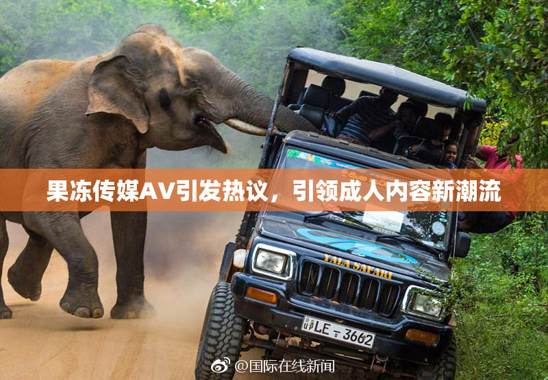果冻传媒AV引发热议，引领成人内容新潮流