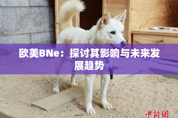 欧美BNe：探讨其影响与未来发展趋势