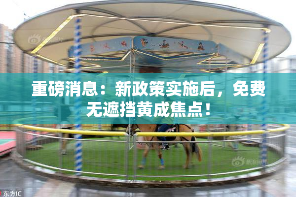 重磅消息：新政策实施后，免费无遮挡黄成焦点！