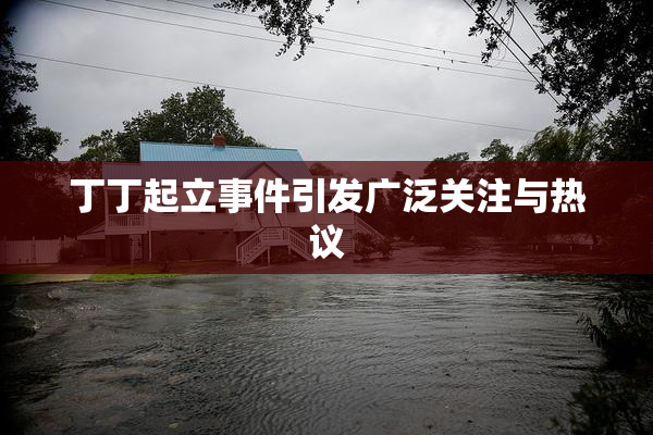 丁丁起立事件引发广泛关注与热议