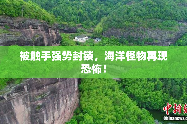 被触手强势封锁，海洋怪物再现恐怖！