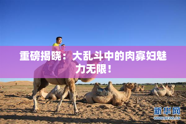 重磅揭晓：大乱斗中的肉寡妇魅力无限！