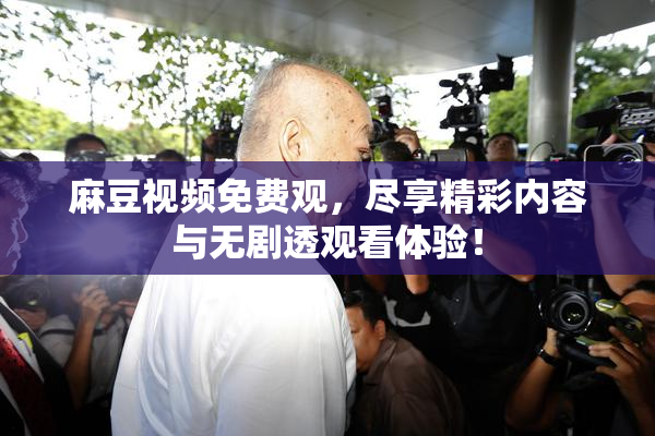 麻豆视频免费观，尽享精彩内容与无剧透观看体验！