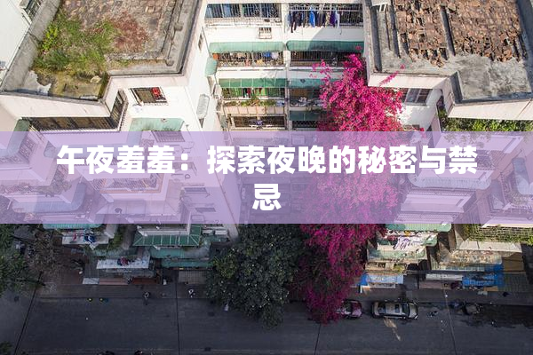 午夜羞羞：探索夜晚的秘密与禁忌